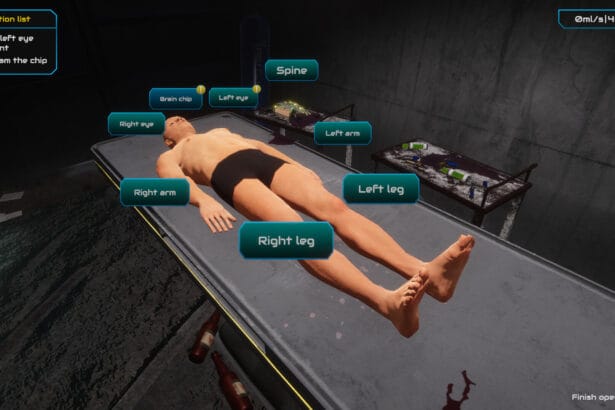 Ripperdoc Simulator 2